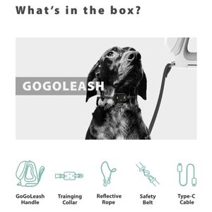 NWT Go Go Leash and Training Collar